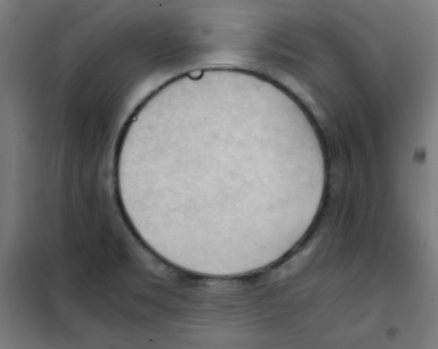 X0000100311469200807031135