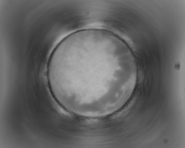 X0000100311470200807031135