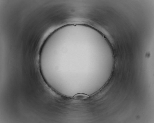 X0000100311472200807031135