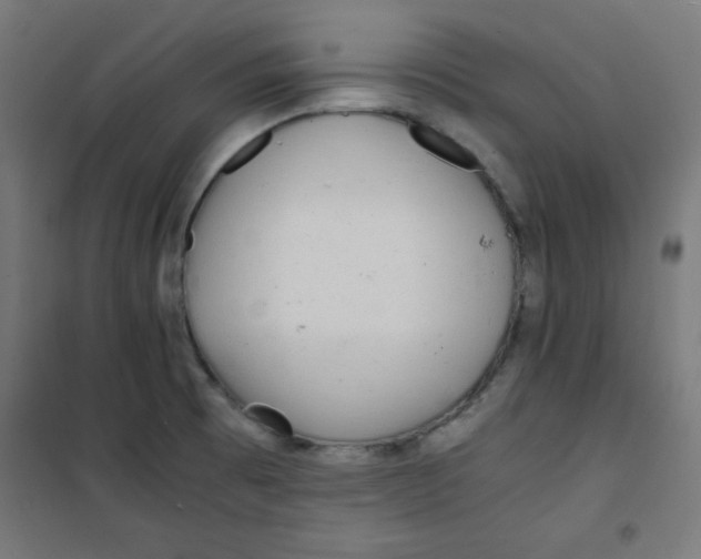 X0000100311473200807031135