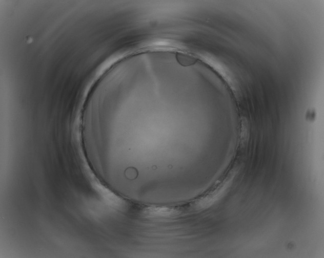 X0000100311474200807031135