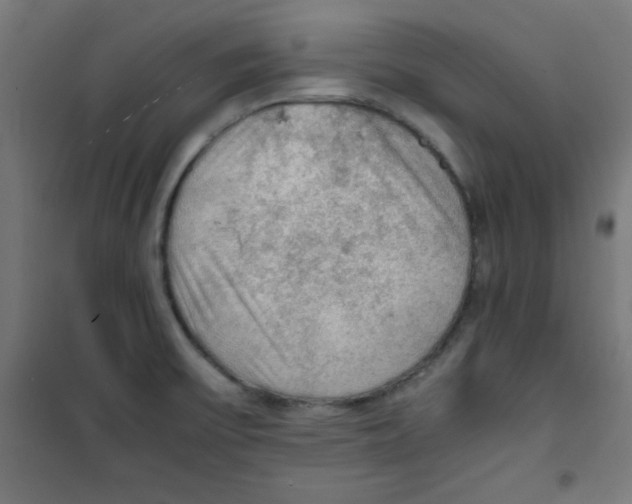 X0000100311475200807031135