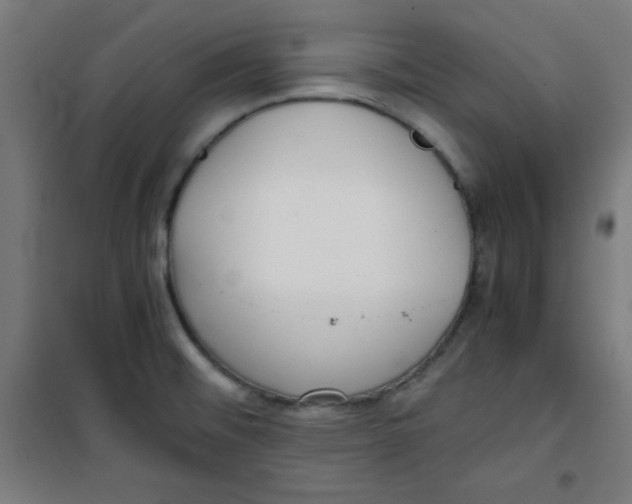 X0000100311476200807031135