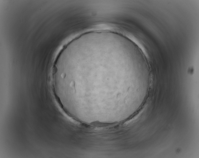 X0000100311477200807031135