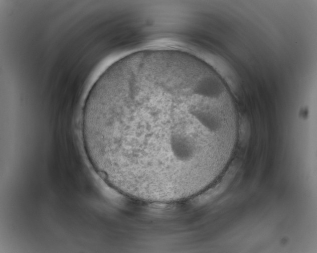 X0000100311478200807031135