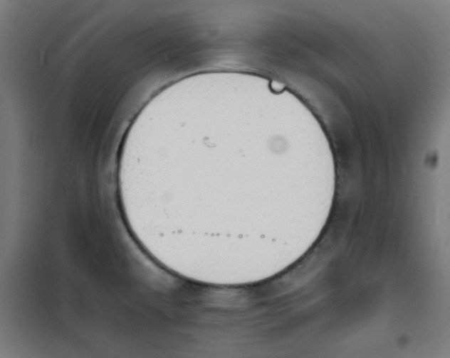 X0000100311479200807031135