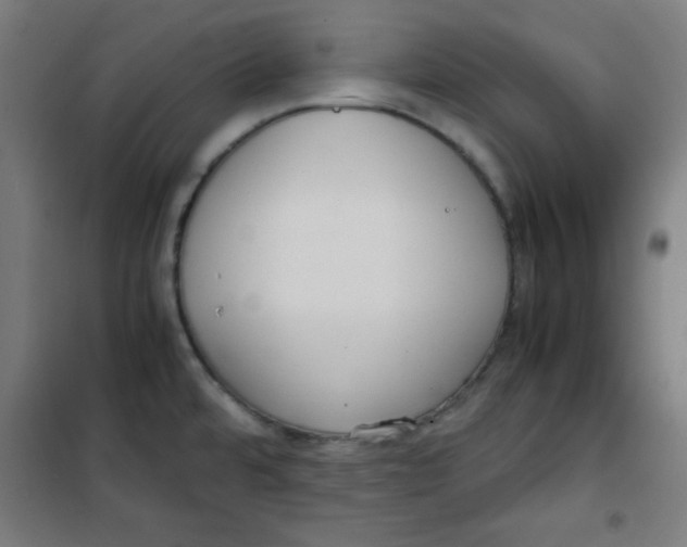 X0000100311480200807031135