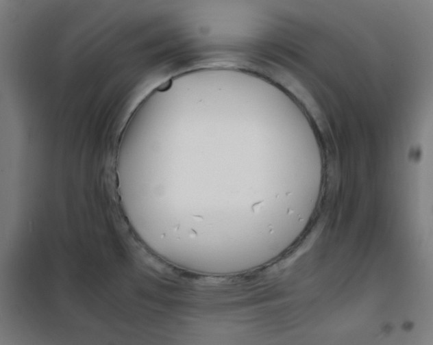 X0000100311481200807031135