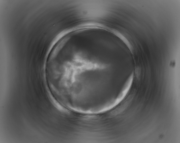 X0000100311482200807031135