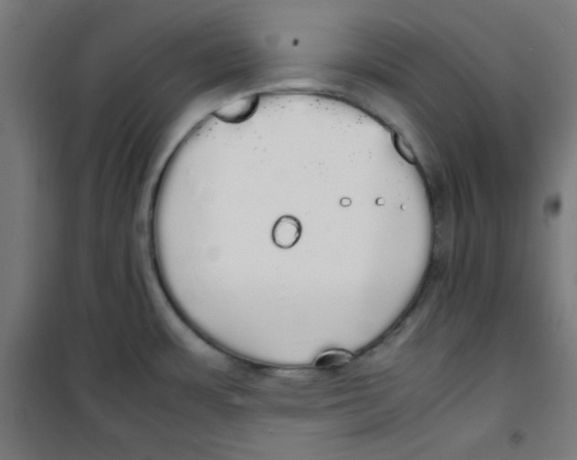 X0000100311483200807031135