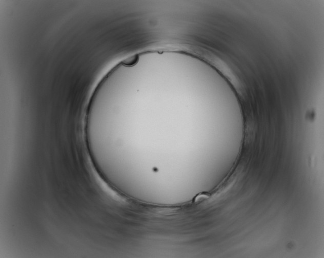 X0000100311484200807031135