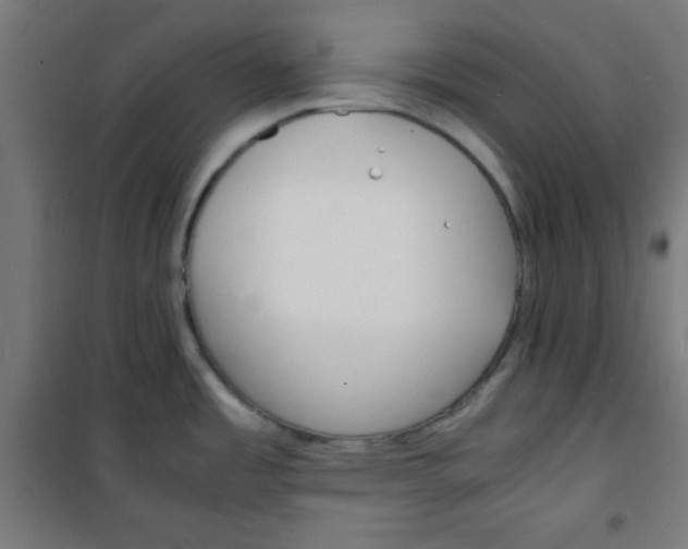 X0000100311485200807031135