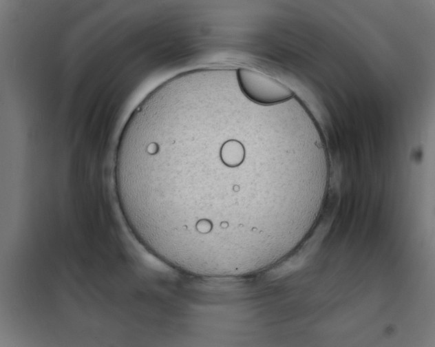 X0000100311486200807031135