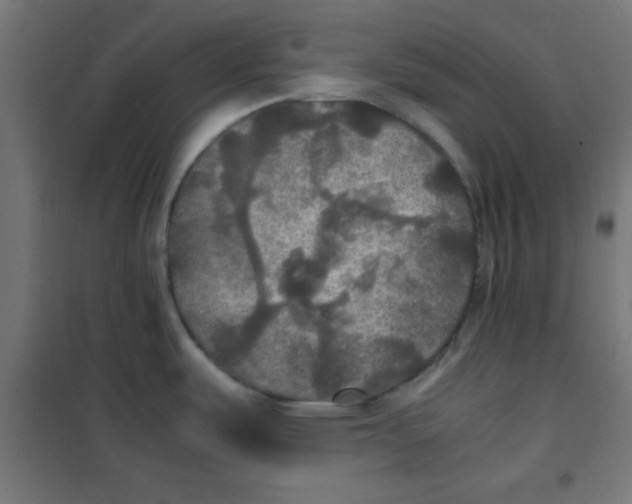 X0000100311487200807031135