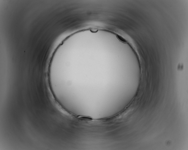 X0000100311488200807031135