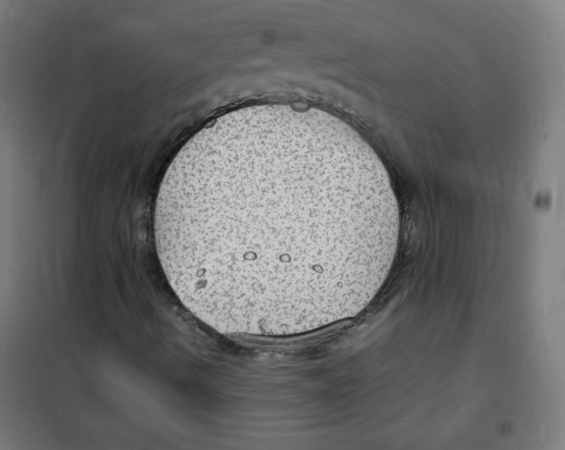 X0000100311490200807031134