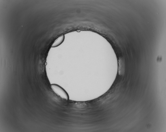 X0000100311491200807031134