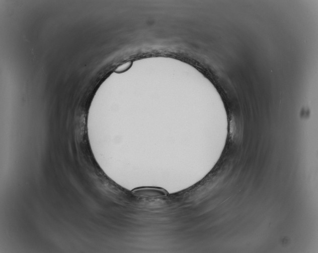 X0000100311492200807031134