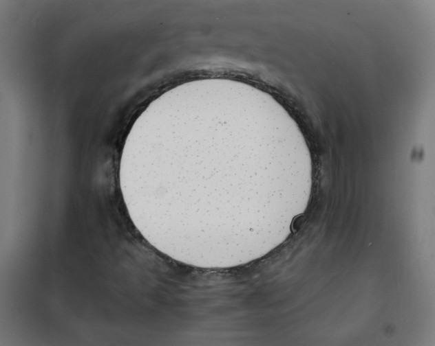 X0000100311493200807031134