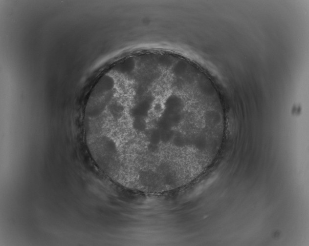 X0000100311494200807031134