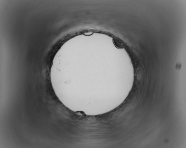 X0000100311495200807031134