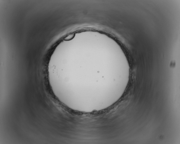 X0000100311496200807031135