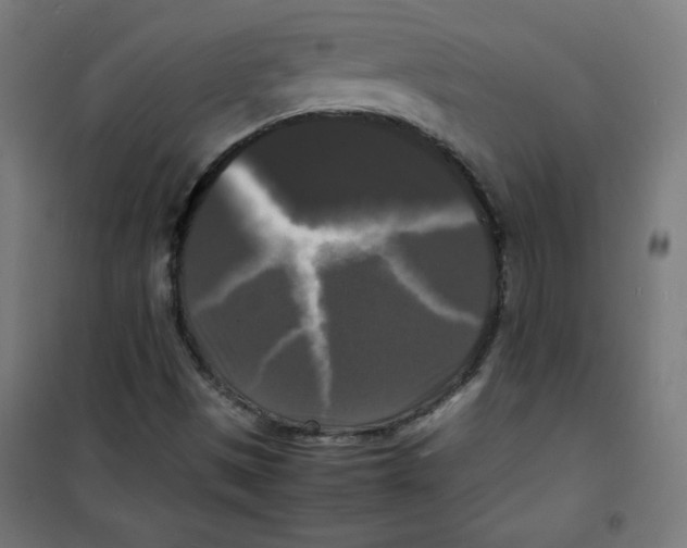 X0000100311497200807031135