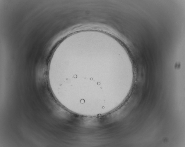 X0000100311498200807031135