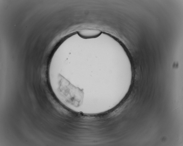 X0000100311499200807031135