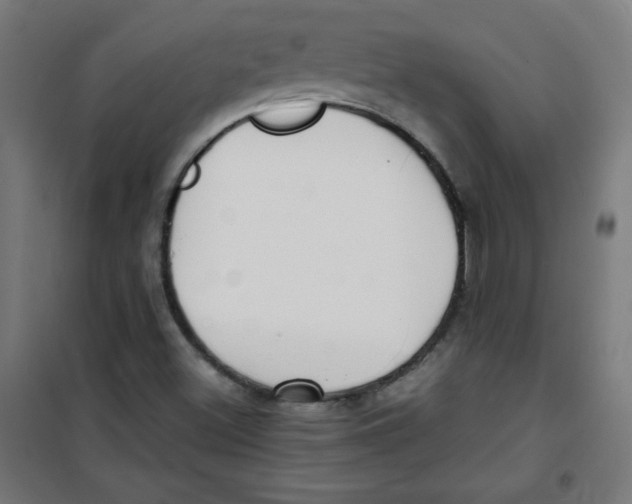 X0000100311500200807031135