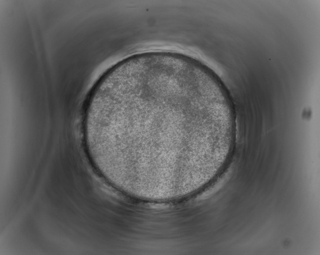 X0000100311501200807031135