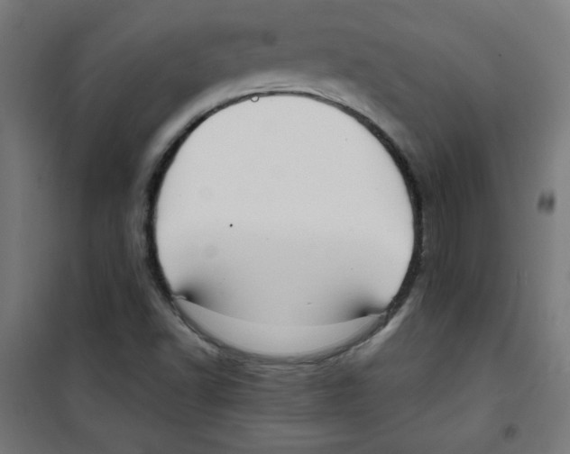 X0000100311502200807031135