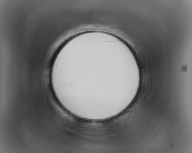 X0000100311503200807031135