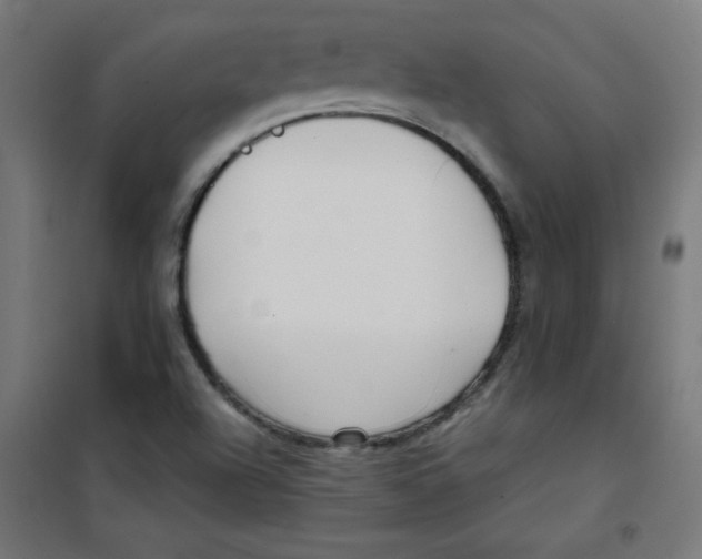 X0000100311504200807031135