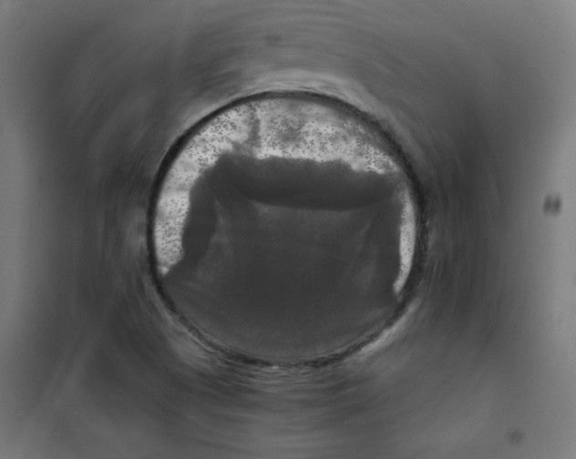 X0000100311505200807031135