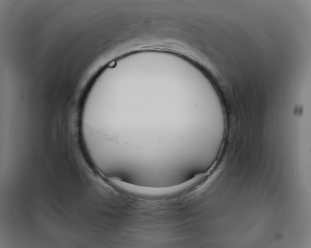 X0000100311506200807031135