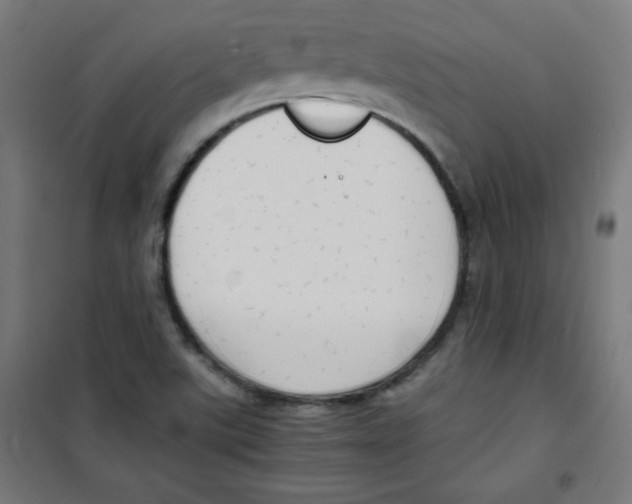 X0000100311507200807031135