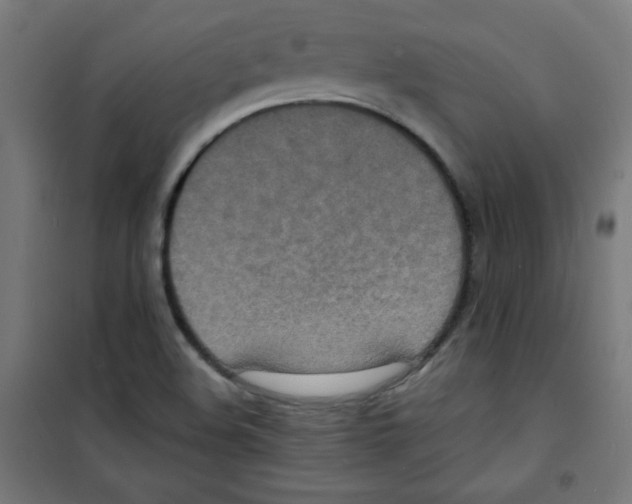 X0000100311508200807031135