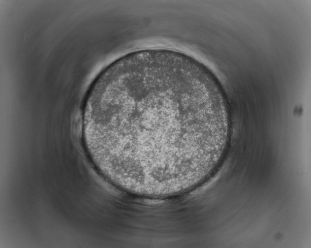 X0000100311509200807031135