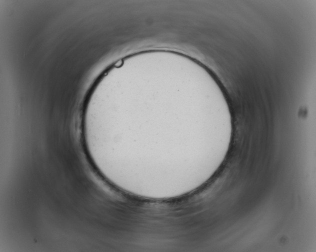 X0000100311511200807031135