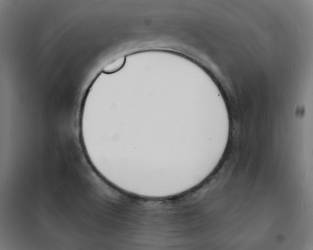 X0000100311512200807031135