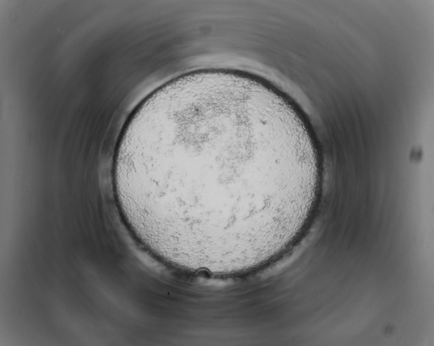 X0000100311513200807031135