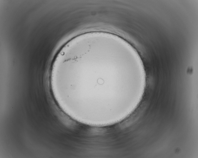 X0000100311514200807031135