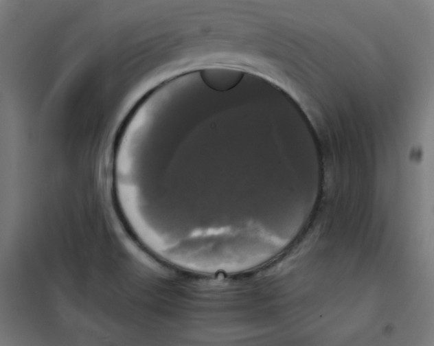 X0000100311515200807031135