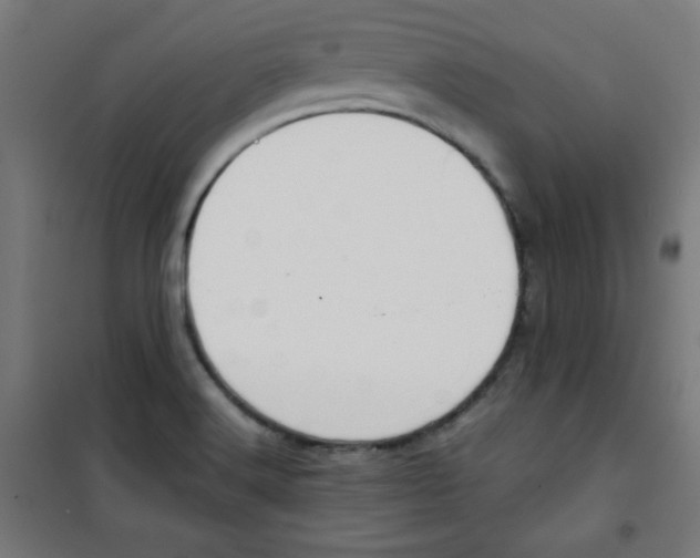 X0000100311516200807031135