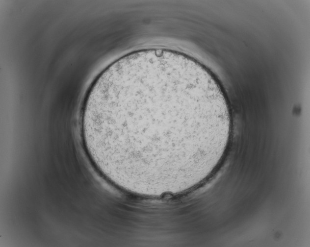 X0000100311517200807031135