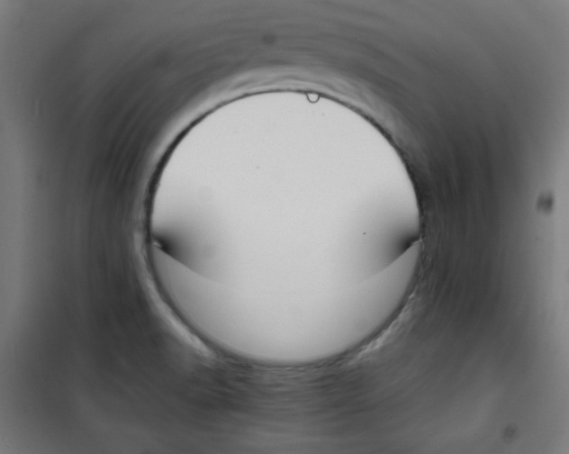 X0000100311518200807031135