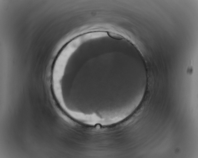 X0000100311519200807031135