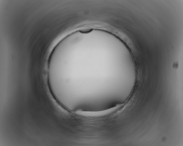 X0000100311520200807031135