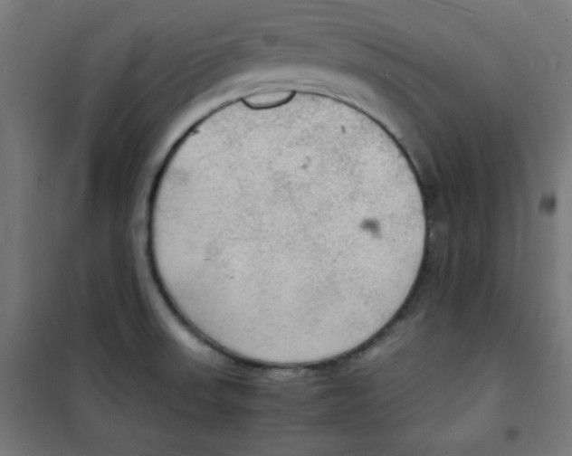 X0000100311523200807031135